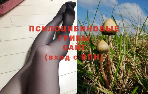 сатива Лиски
