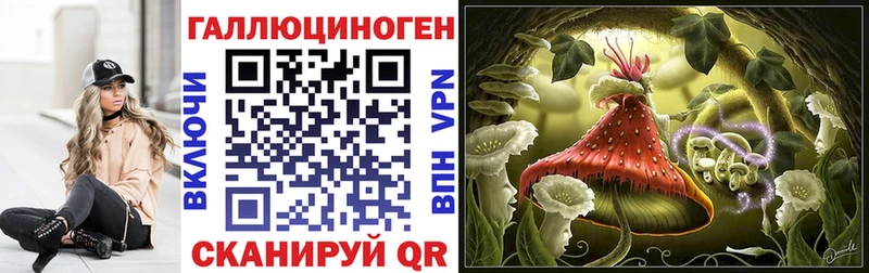 Псилоцибиновые грибы Psilocybe  Дрезна 
