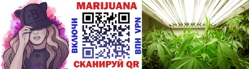 Бошки Шишки THC 21%  Дрезна 